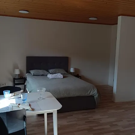 公寓 Beautiful Cosy Studio Near The Center Of Helsinki Järvenpää